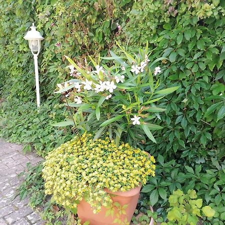 Pension Haus Anneliese Uckeritz Bagian luar foto