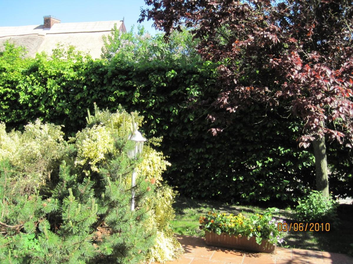 Pension Haus Anneliese Uckeritz Bagian luar foto