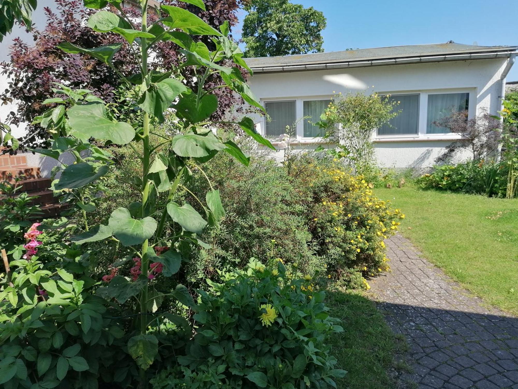 Pension Haus Anneliese Uckeritz Bagian luar foto