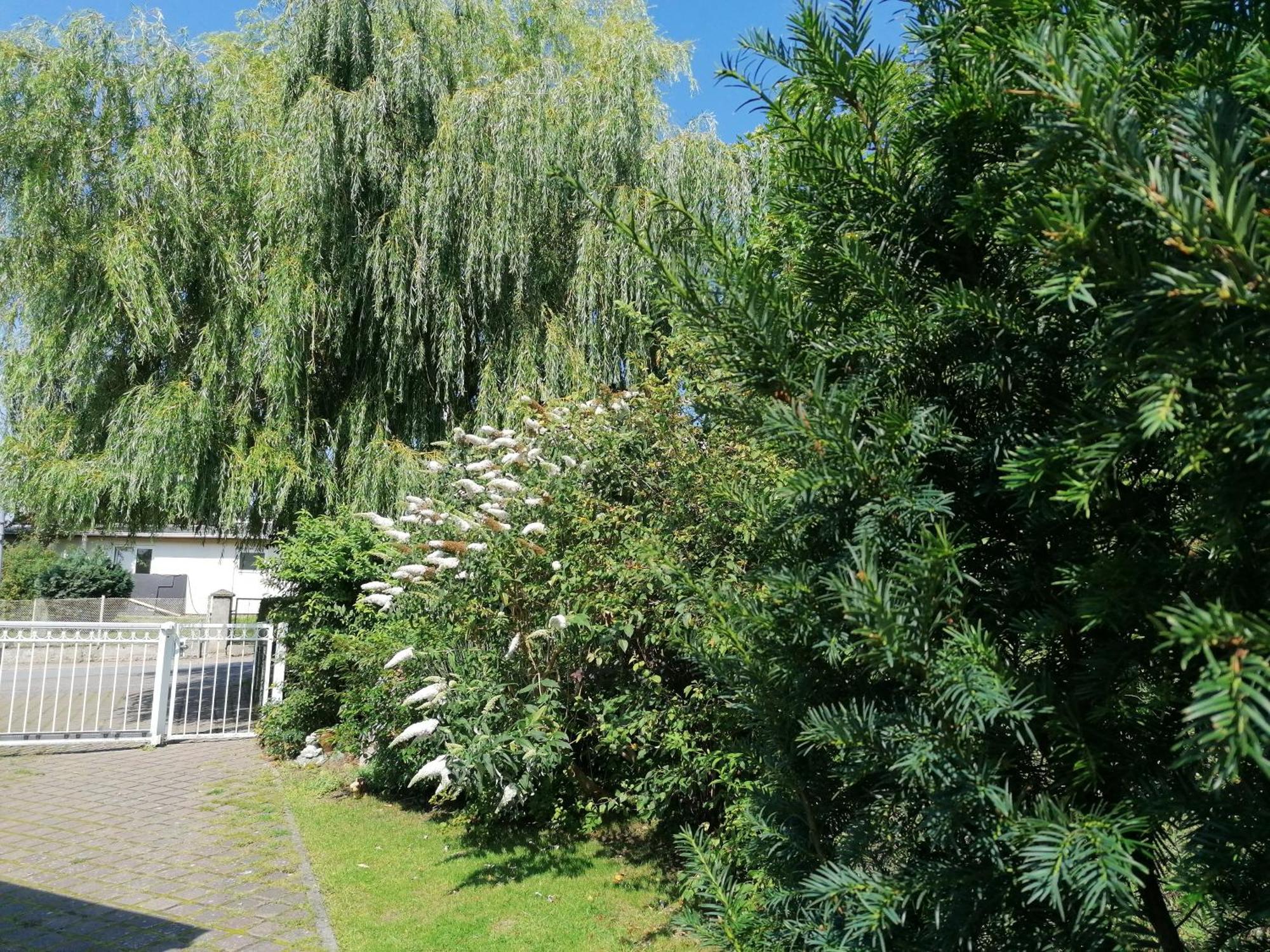 Pension Haus Anneliese Uckeritz Bagian luar foto