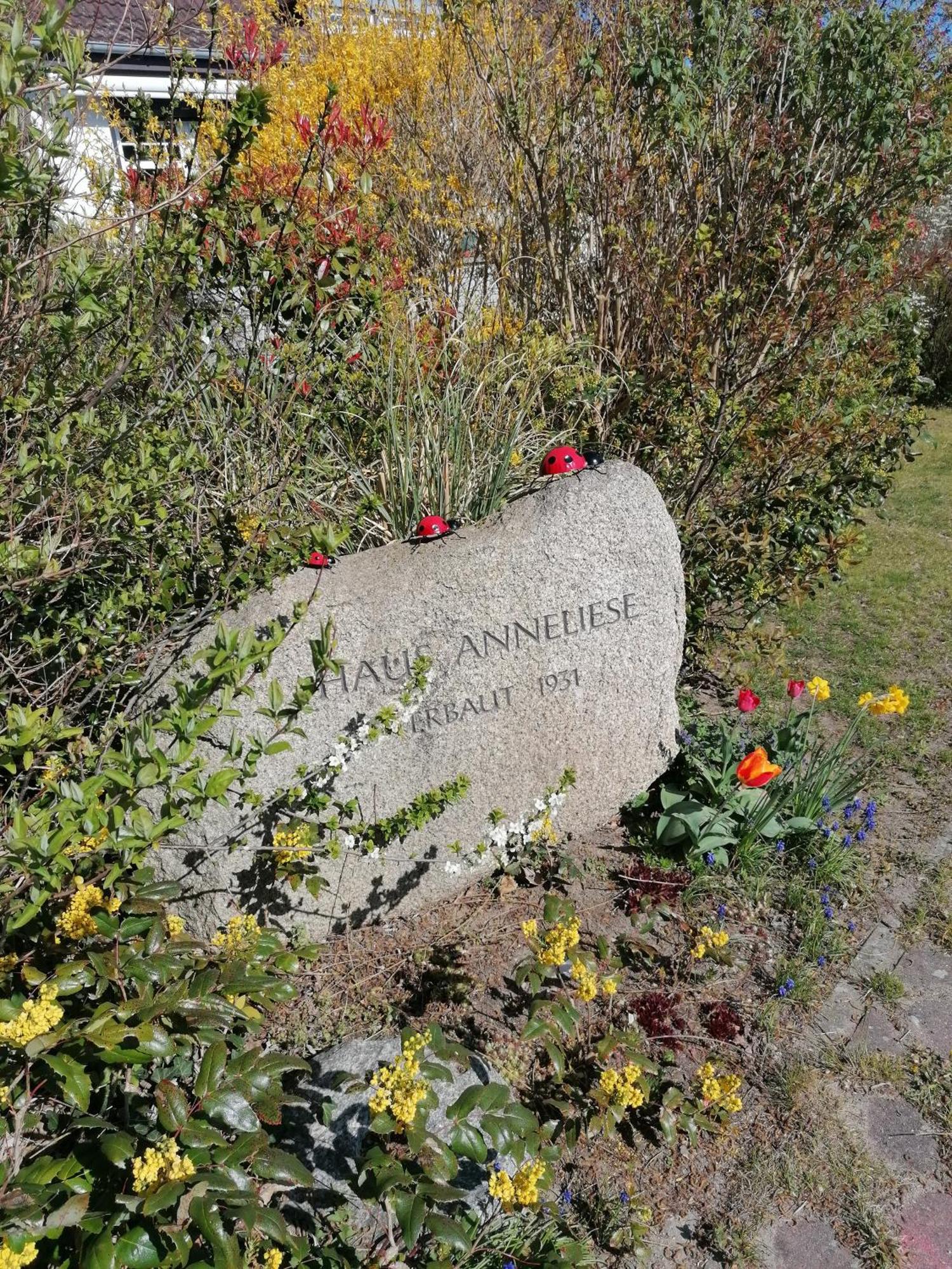 Pension Haus Anneliese Uckeritz Bagian luar foto