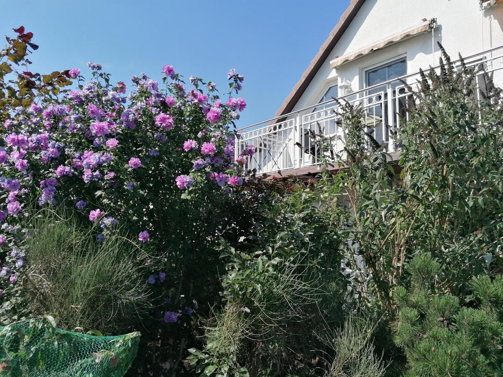 Pension Haus Anneliese Uckeritz Bagian luar foto