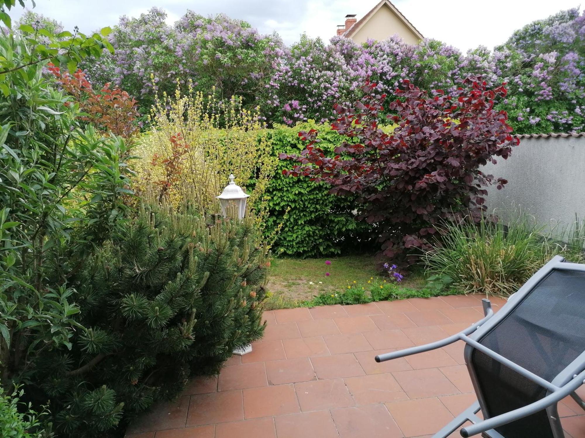 Pension Haus Anneliese Uckeritz Bagian luar foto